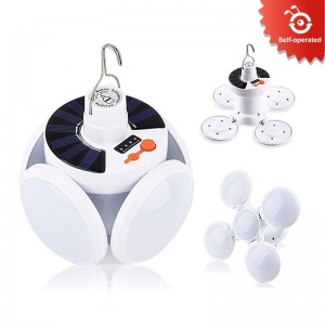 Shop 87 Physical Integral 20260703