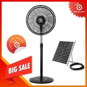 Shop 87 Physical Auction 20260703